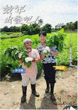 奇优影音 明星大侦探 综艺在线